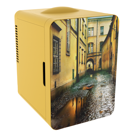 Mini Fridge4L Nostalgia Fridge